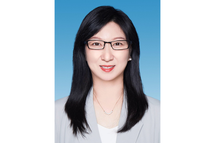 仙桃热线的介绍