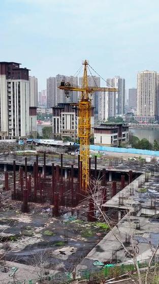 重庆移通学院简介