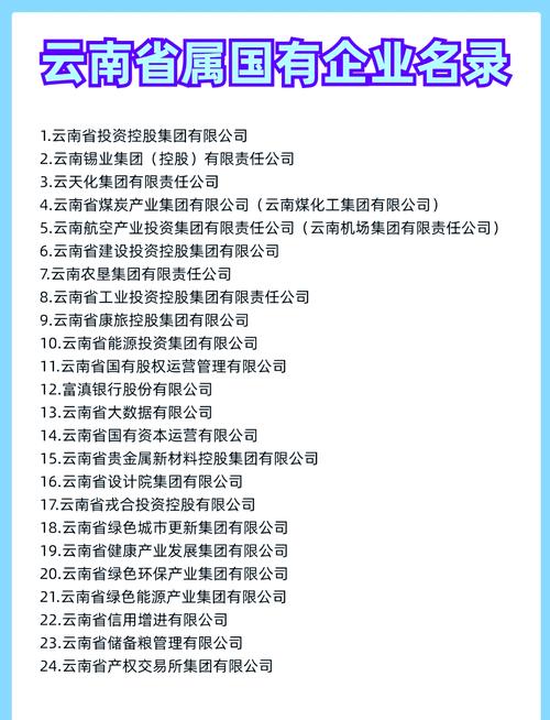 云南做软件比较大的公司有吗?