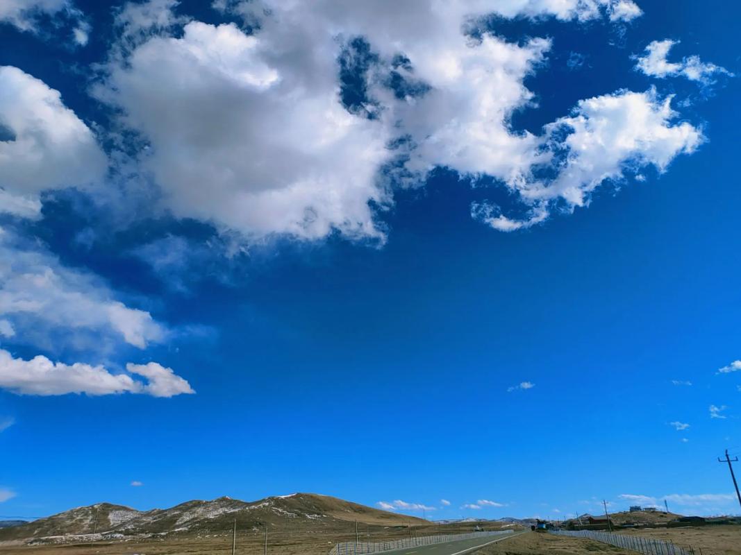 淄博齐惠保怎么推广给别人