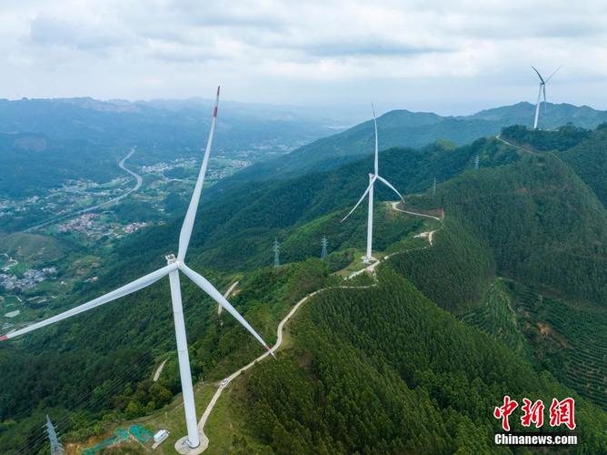 广西军博园文化传播有限公司怎么样?