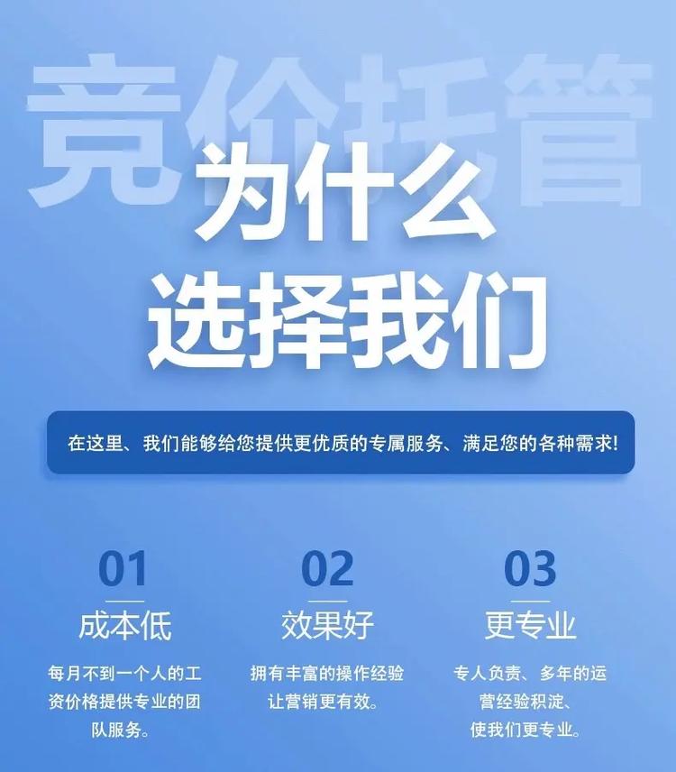 竞价托管是做什么的呢?