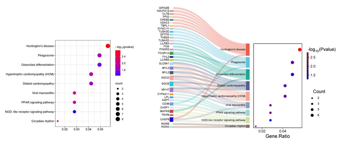 自助建站有什么缺点?