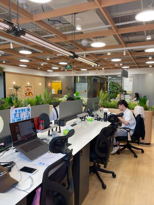 深圳市龙岗区秋猴网络科技工作室怎么样?