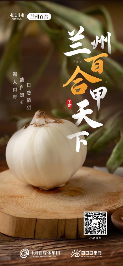 兰州SEO网站推广优化需要注意什么