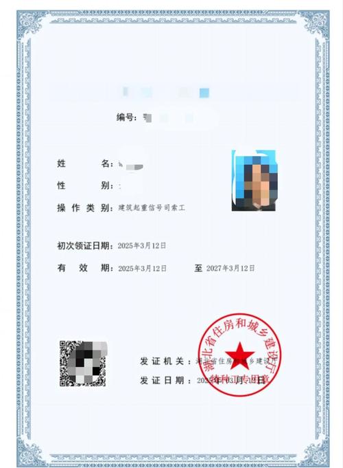 安全b证个人查询入口