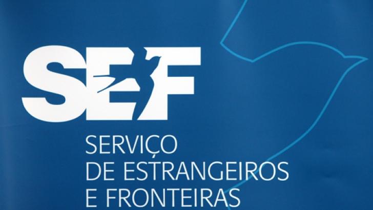 “SEF”是什么意思?