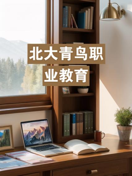 云南北大青鸟SEO优化培训IT精英挑战赛怎么样?