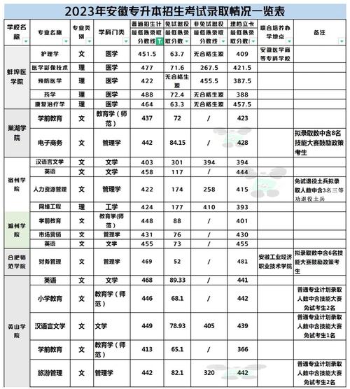 安徽哪个大专电子商务专业比较好
