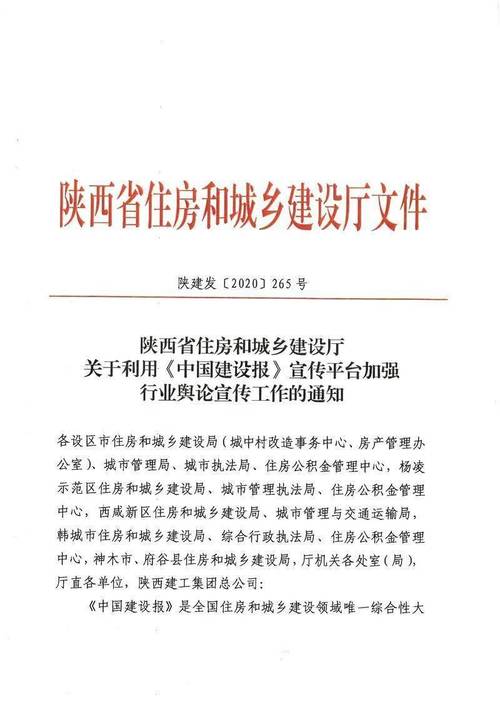 陕西商桥网络科技有限公司怎么样?