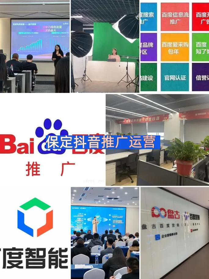 保定五花马网络科技有限公司怎么样?