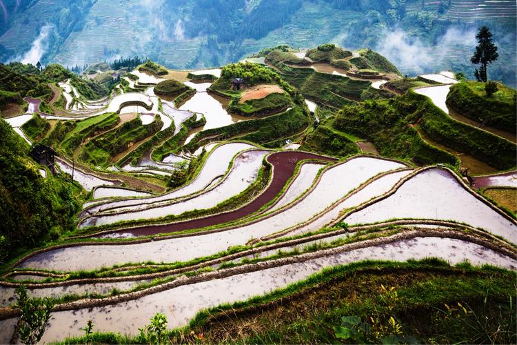 贵州人事人才网网站方案