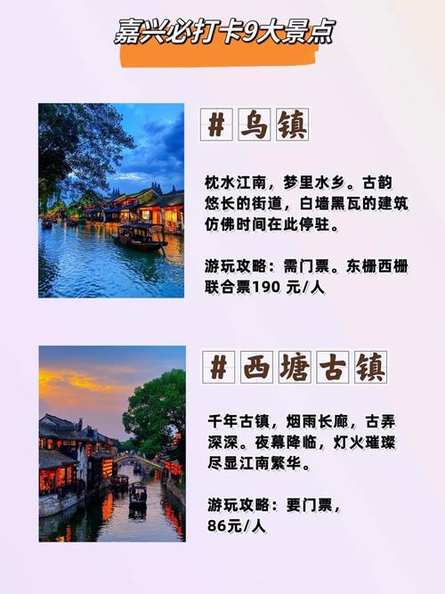 在浙江或者宁波,台州,嘉兴以及温州怎么做抖音推广