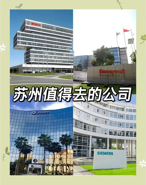 你们听过苏州闻道网络这家公司么?有谁了解的来说说?