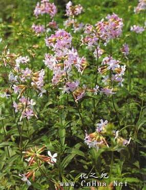 钛合金棒厂家介绍