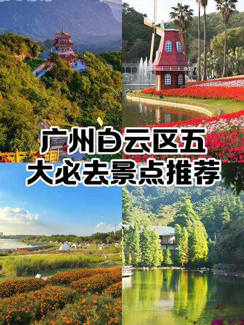 广州市白云区哪里有做网站的地方?