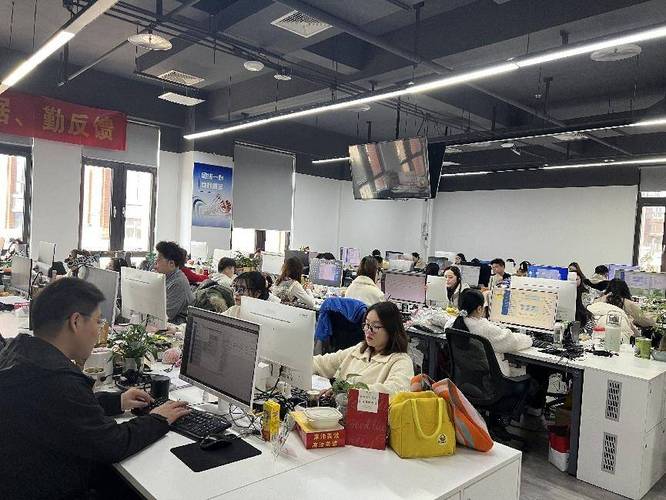 青岛全速网络科技有限公司怎么样?