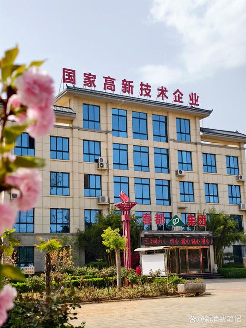 河南平顶山网通dns