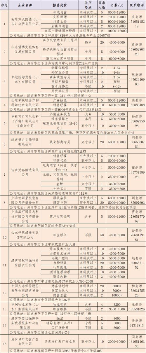 山东淄博精灵互联科技有限公司服务范围