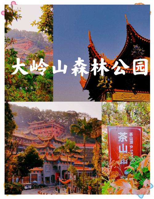 东莞做网站找哪家好,服务比较好的网络公司