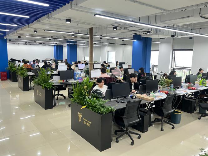 道县蓝蜗牛网络科技有限公司怎么样?