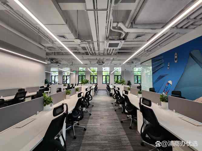 上海百为网络公司提供哪些互联网相关业务?