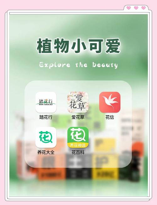 支付宝小程序之商城类到底值不值得做?