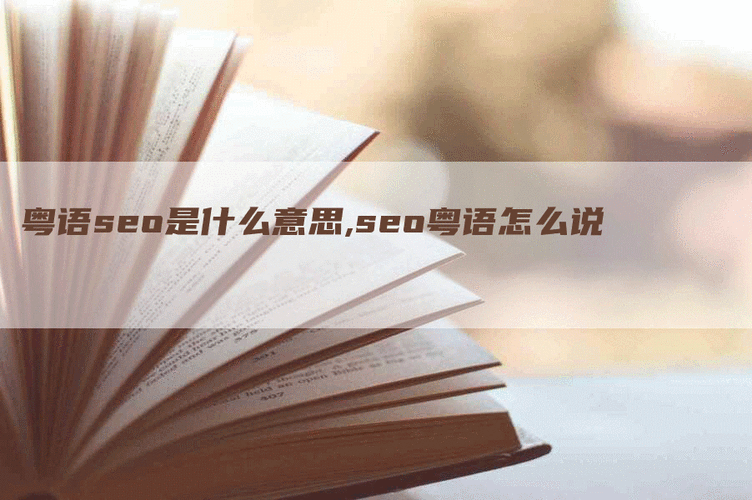 seo粤语是什么意思