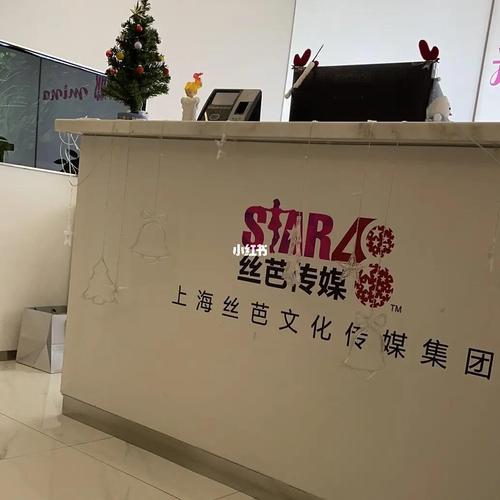 上海比较好的广告公司有哪些?上海广告公司排名,知道的告诉一下_百度知...