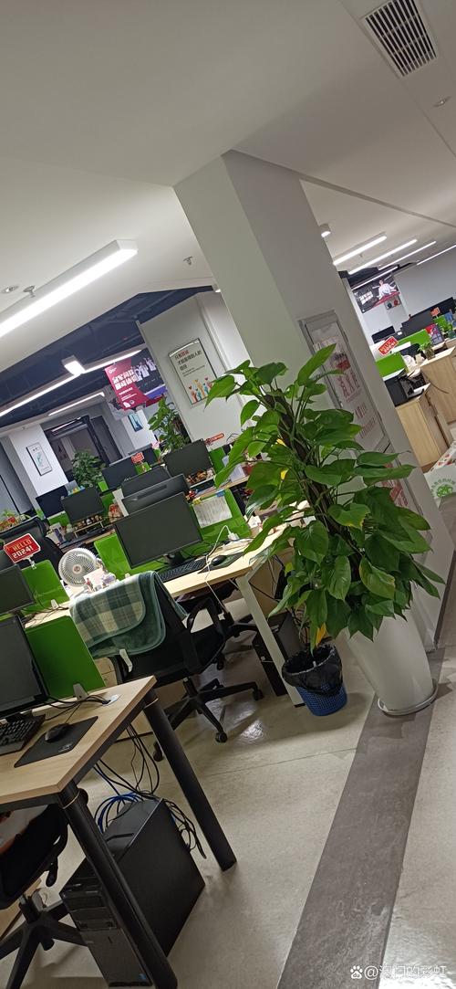 河南吾勤信息科技有限公司是干什么的