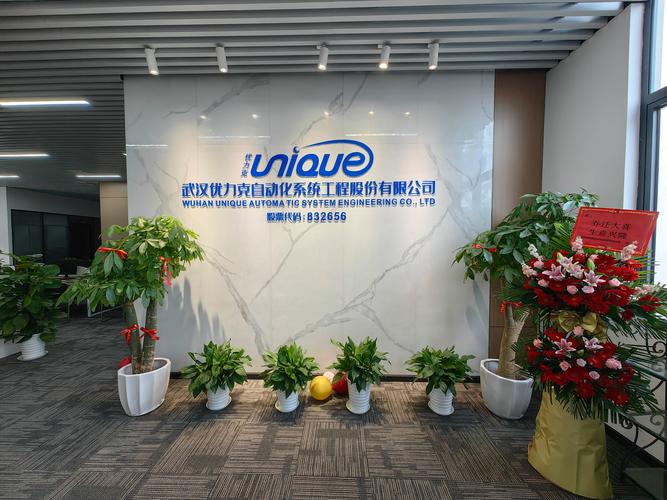 武汉做网站哪个公司比较专业_武汉招聘网站哪个靠谱