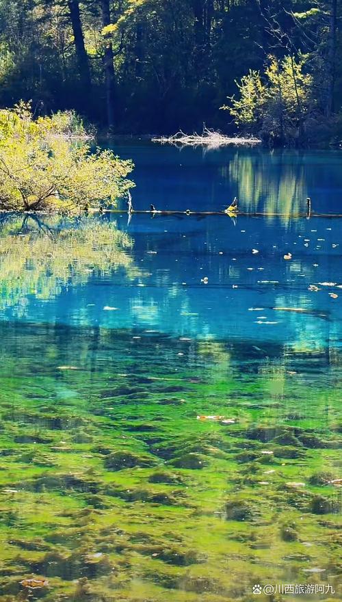 成都装修材料批发市场在哪里