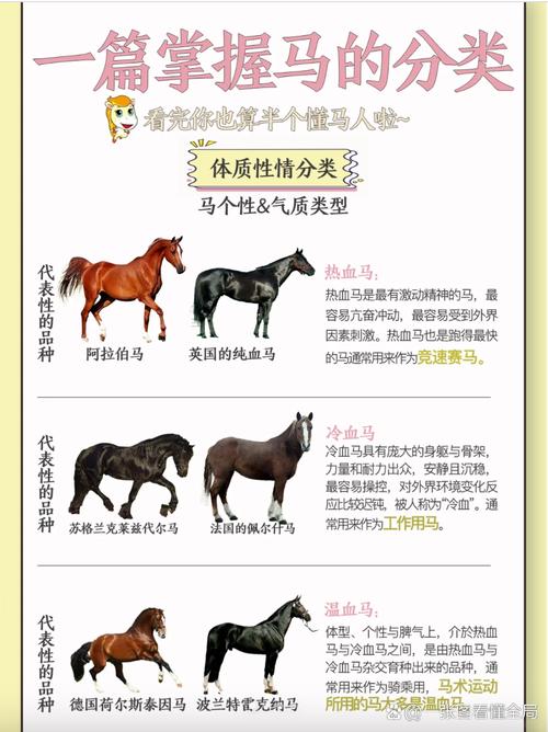 网站不收录怎么做?