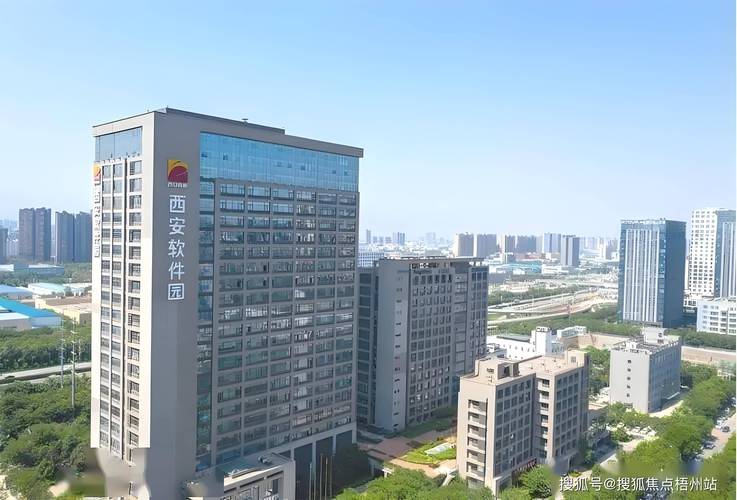 西安软件公司前十名