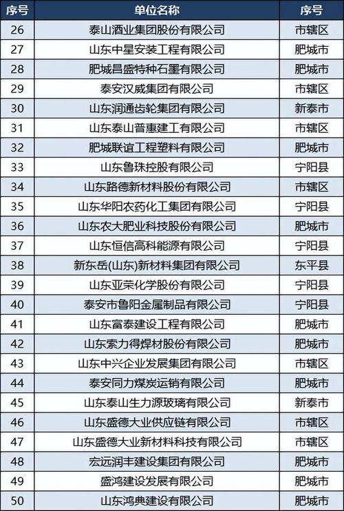 泰安哪家优化公司比较好