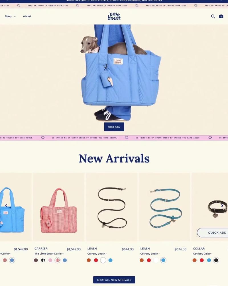 建一个网站并在谷歌上推广需要多少钱