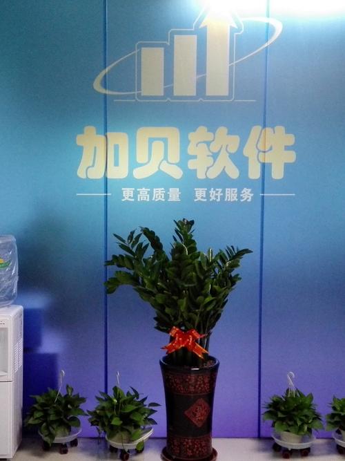 东莞软件开发找哪家(东莞软件公司有哪些)