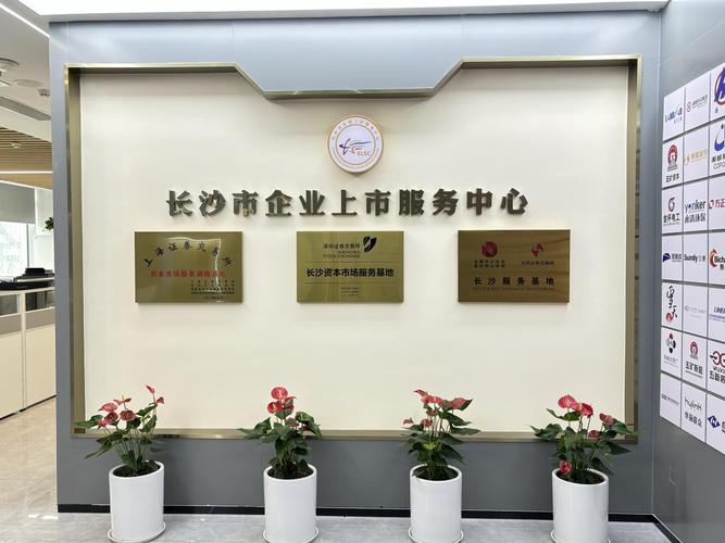 长沙友点软件科技有限公司公司简介