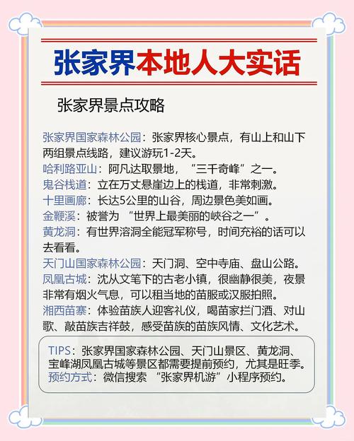 张家界旅游信息港网站介绍