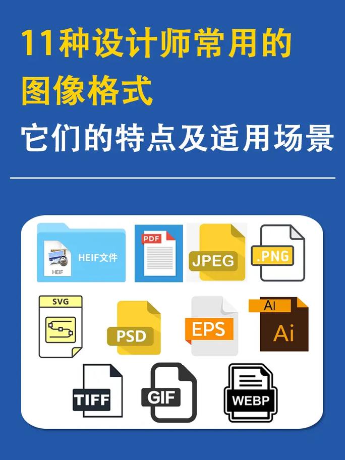 哪些图像的格式可以用于网页设计?它们各自有什么特点?