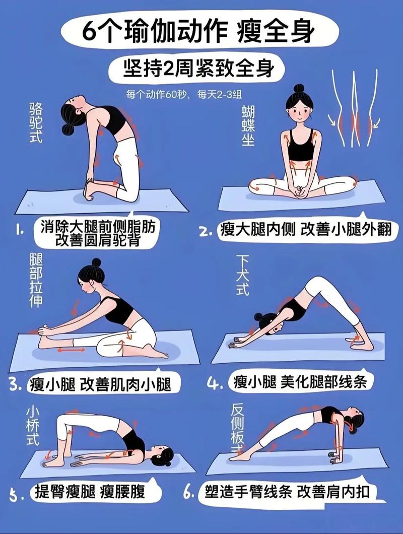 站帮网站帮网成员介绍