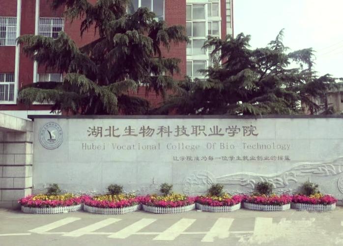 武汉网站设计公司 - 武汉网页设计培训学校