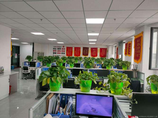 新疆百川启鑫广告有限公司怎么样?