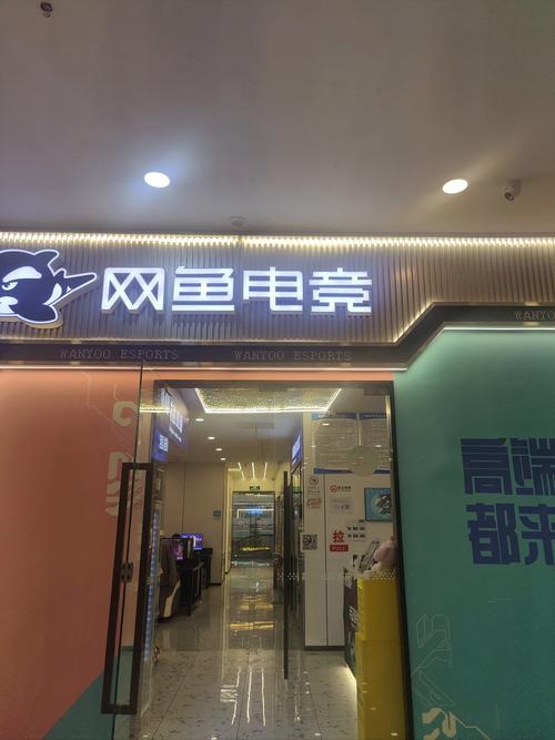 东营林森网络怎么样?