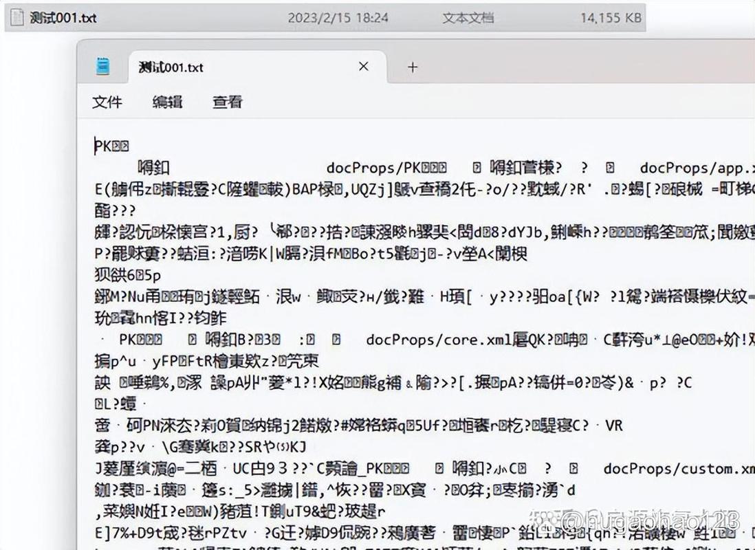ctrip是什么文件