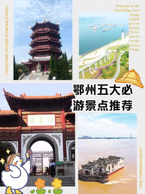 我想找新网域名代理商列表