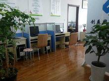 鄢一龙:十五五前瞻四新