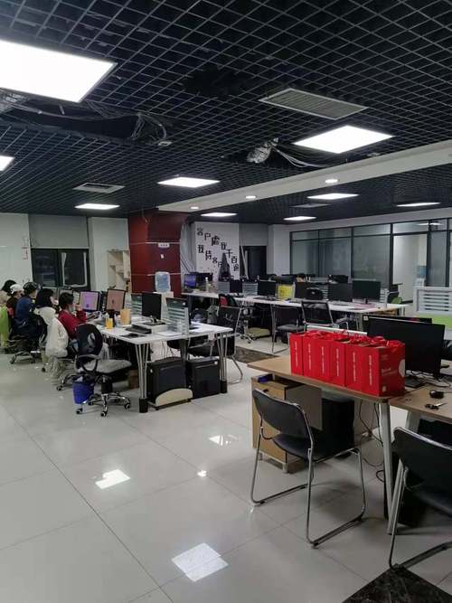 石家庄网络公司有哪些