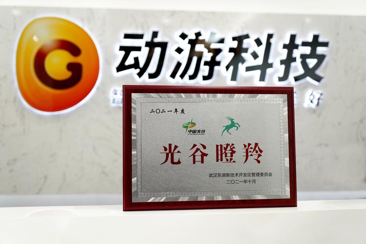 武汉动游科技有限公司怎么样?