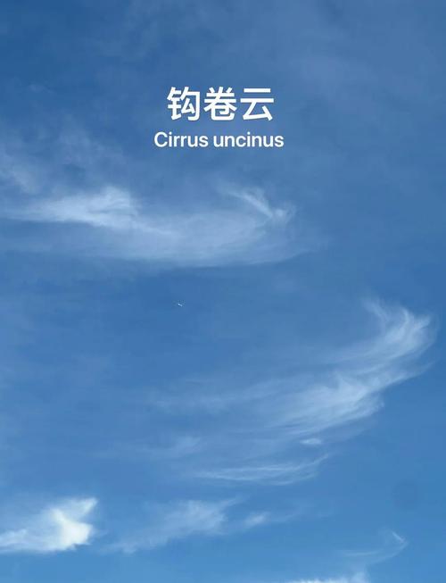 知了云是什么